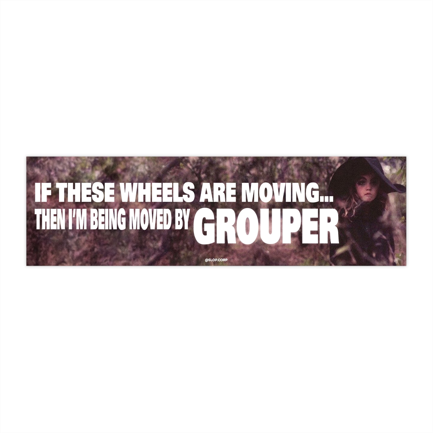 Crying to Grouper bumper sticker